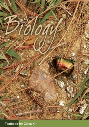 11 Biology